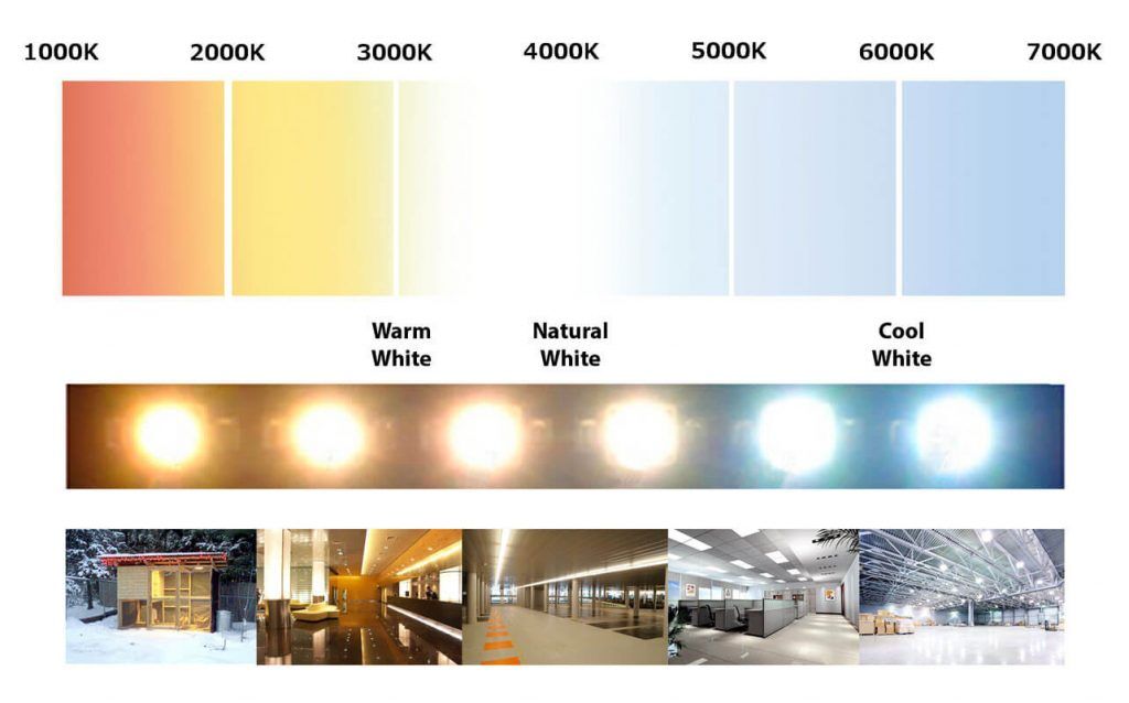 Best colour of light for studying top